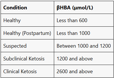 What is ketosis?